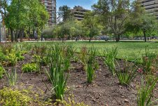 Banner Paisajimo Sustentable