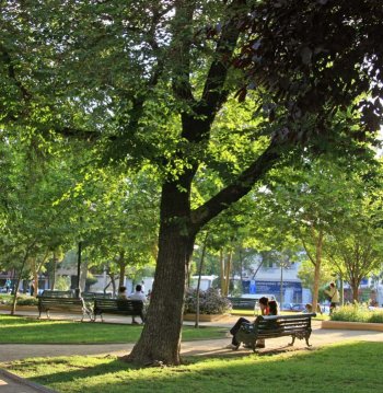 Parque Bustamante