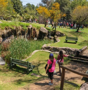 Jardín Botánico Mapulemu