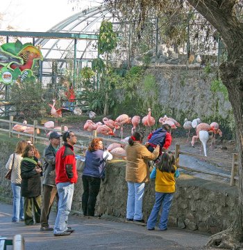 Zoológico Nacional