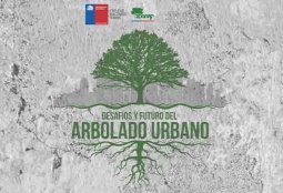 Providencia se preocupa de la arborización urbana