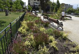 Providencia instala áreas verdes sustentables para enfrentar el cambio climático