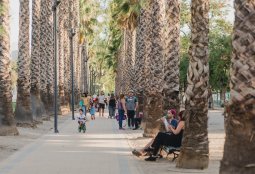 Cierres de parques en la comuna