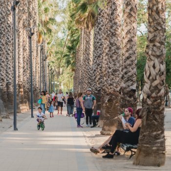 Cierres de parques en la comuna