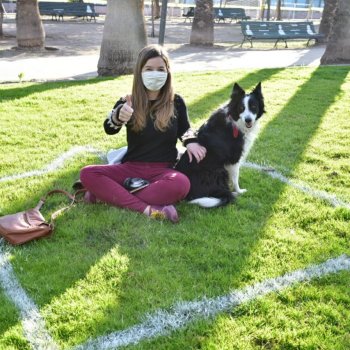 Cómo ir al parque en etapa de Transición