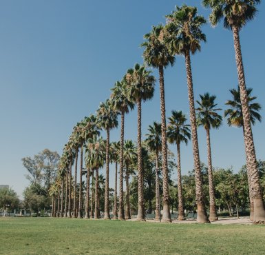 Parque Inés de Suárez