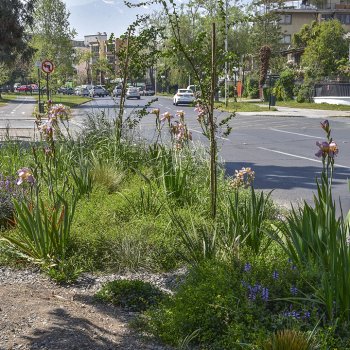 La receta para hacer un jardín sustentable en tu casa o edificio