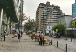 ¿Qué son las Calles Vivas?