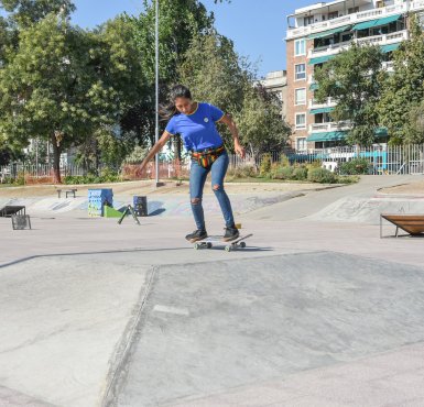 Patinódromo Parque Bustamante