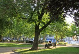 Participación Ciudadana Parque Bustamante