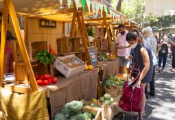 Mercado Drugstore y Las Urbinas, las tradicionales ferias que continúan en enero