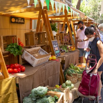 Mercado Drugstore y Las Urbinas, las tradicionales ferias que continúan en enero