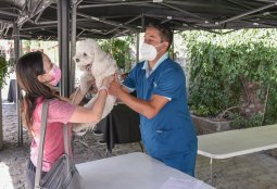 Estos son los barrios donde tendremos operativos de mascotas durante febrero