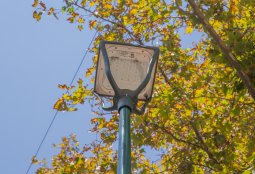 Iniciamos la reposición de luminarias en el Parque Bustamante