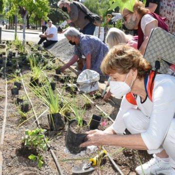 Tercer ciclo de talleres de jardines sustentables ¡INSCRÍBETE AQUÍ!