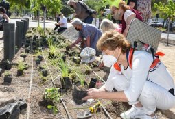 Tercer ciclo de talleres de jardines sustentables ¡INSCRÍBETE AQUÍ!