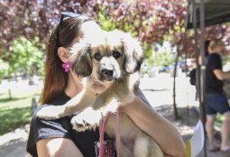 ¿Necesitas vacunar o chipear a tu mascota? Estos son nuestros operativos en terreno durante abril