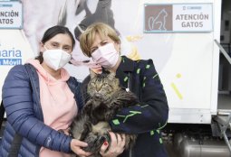 En Providencia celebramos el Mes de los Gatos con operativos, charlas y actividades educativas