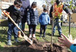 Plantaremos más de 10 mil árboles en los 2 próximos años