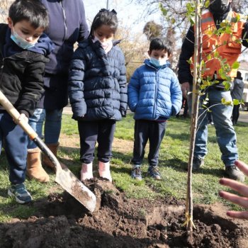 Plantaremos más de 10 mil árboles en los 2 próximos años