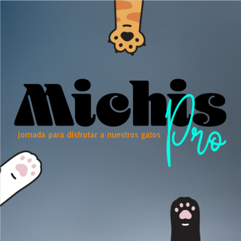 Michis Pro: Este sábado regaloneamos a nuestros gatos en el Montecarmelo