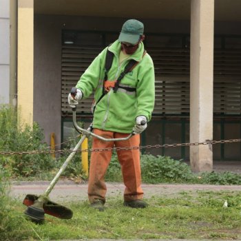 Equipos de Aseo iniciaron el desmalezado en diferentes sectores de la comuna