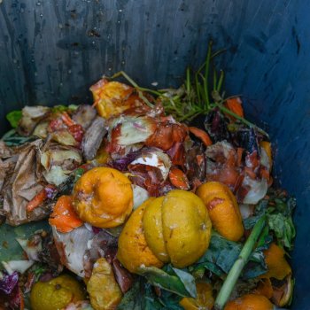 Regresó a la Plaza Río de Janeiro el Reciclaje Orgánico