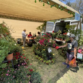 Casi 5.000 vecinos participaron de una nueva edición de “Eco Fest”
