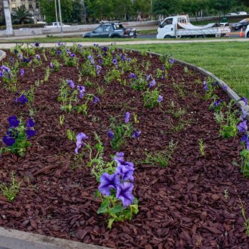 Plaza Baquedano ya tiene jardines sustentables