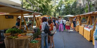 Actividades del mes