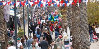 Actividades del mes
