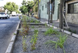 Más de 15 mil M2 de Jardines Sustentables plantaremos este 2023