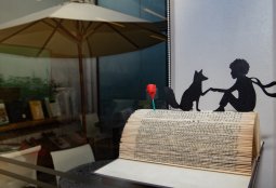 “Arte Plegable”, la exposición en Bellavista que rescata libros en mal estado