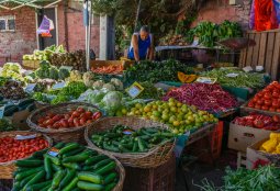 Apoyemos al comercio de barrio: Conoce las ferias libres de Providencia