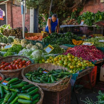 Apoyemos al comercio de barrio: Conoce las ferias libres de Providencia