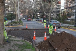 Avanzan obras de reparación de la calzada de calle Suecia