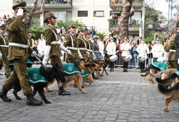 Desfile en Honor a las Glorias del Ejército reunió a más de 5 mil asistentes