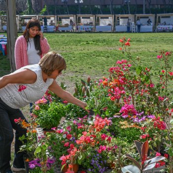 Más de 7 mil vecinos asistieron este fin de semana a "Eco Fest: Manos a las Plantas"