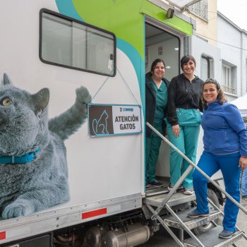 Estos son los operativos veterinarios gratuitos durante noviembre