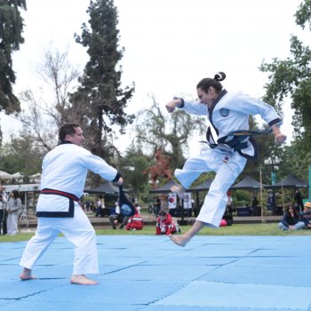 Las artes marciales se tomaron el Parque Inés de Suárez