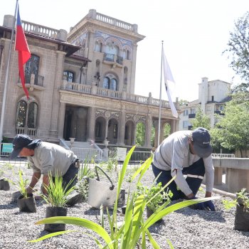 Plaza Centenario tiene nueva cara gracias a plantación de jardines sustentables