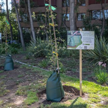 Providencia implementa plan piloto para optimizar el riego de árboles
