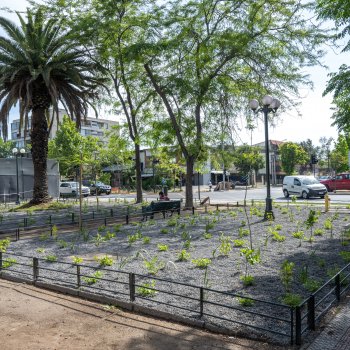 Más Jardines Sustentables para la comuna