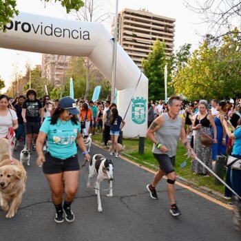 Más de 1.000 personas participaron de una nueva versión de "The Walking Led"