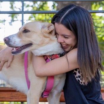 Estos son los operativos veterinarios gratuitos de febrero