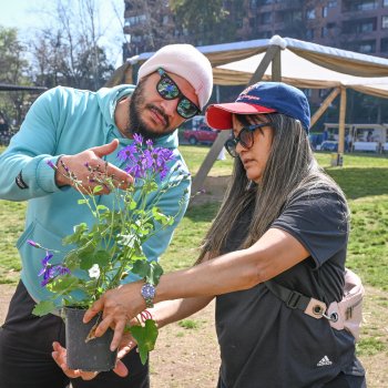 Planta por Planta: ven a intercambiar tus especies este sábado 23 de marzo