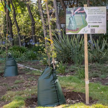 Te invitamos a postular a una de las modernas bolsas para el riego de árboles