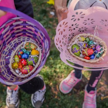 Este domingo 31 no te pierdas “Chocolates y Diversión Pro”