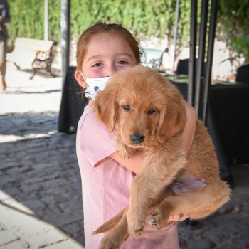 Ven a la 1° versión de la Feria “Andacollo y las mascotas”