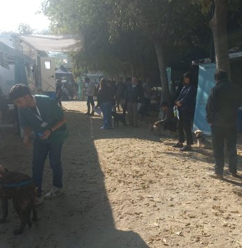 Operativo "Activando Providencia"- Comunidad Luis Thayer Ojeda 43 (Exclusivo para comunidad).